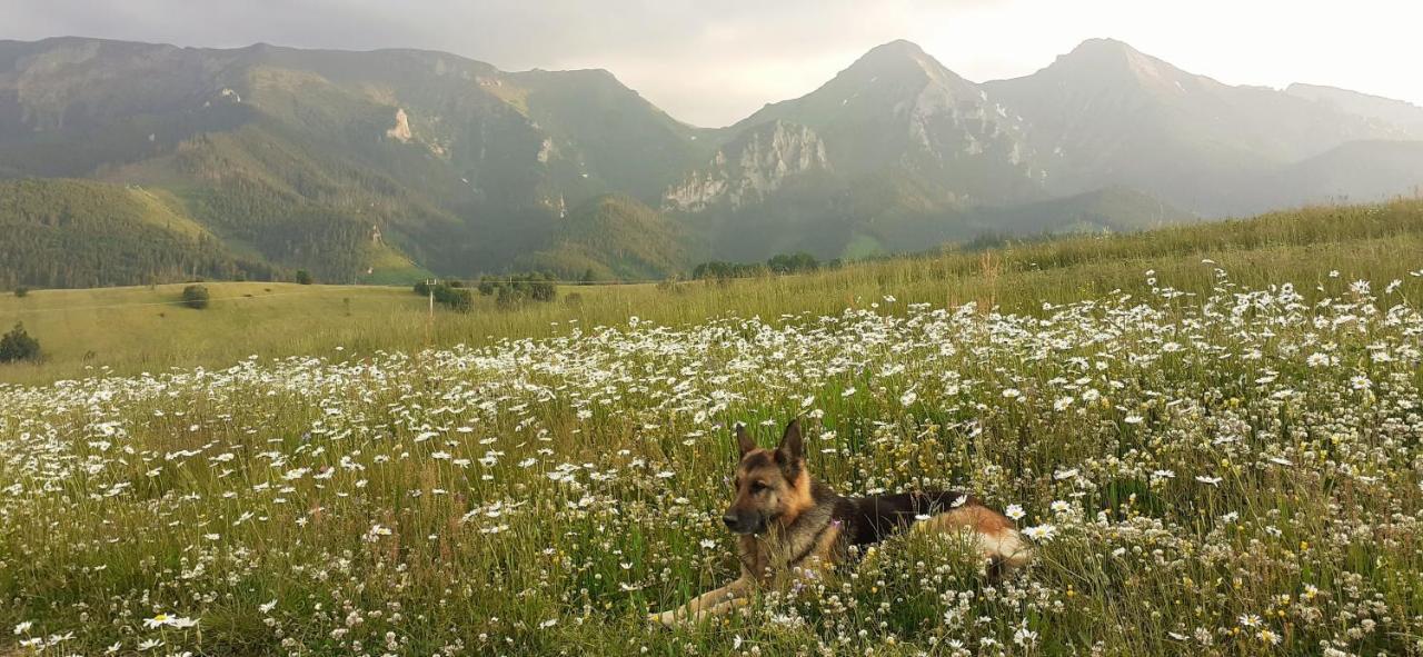 Apartman Astra V Zdiari Buitenkant foto